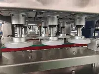 Capsuleuse automatique à broches